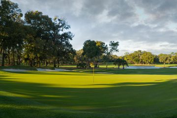 Innisbrook-Copperhead.jpg