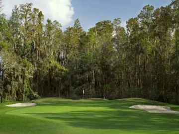 Saddlebrook-1.webp